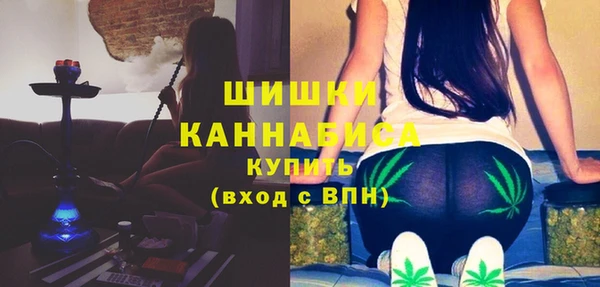твердый Богородицк