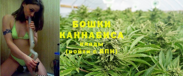 твердый Богородицк
