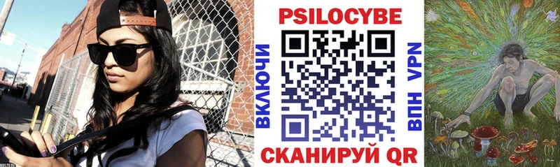 купить сайты Горячий Ключ Псилоцибиновые грибы Psilocybine cubensis